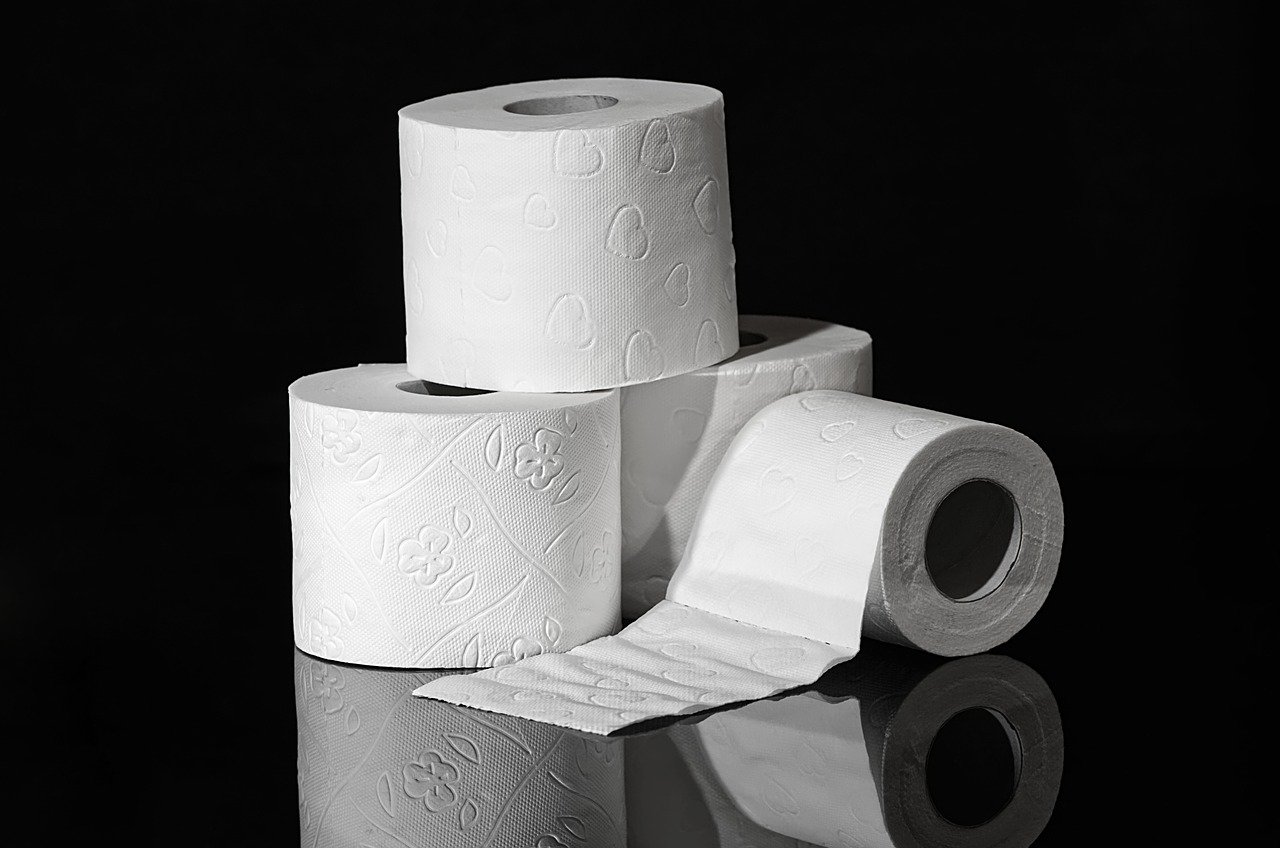 Toilet paper 3964492 1280