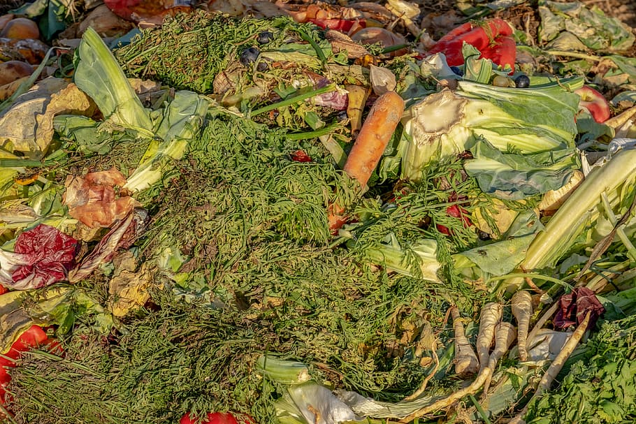 Compost garbage biological waste